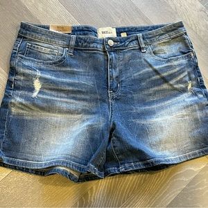 BKE Parker Shorts 34